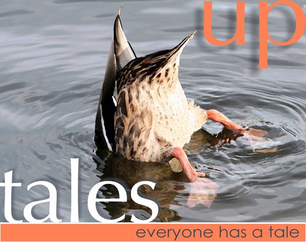 Tales-Up-logo1 copy Logo of a diving duck with tale up.